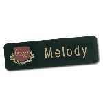 Brass Metal Name Badges